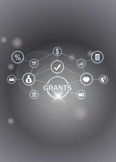 Government Grant Support